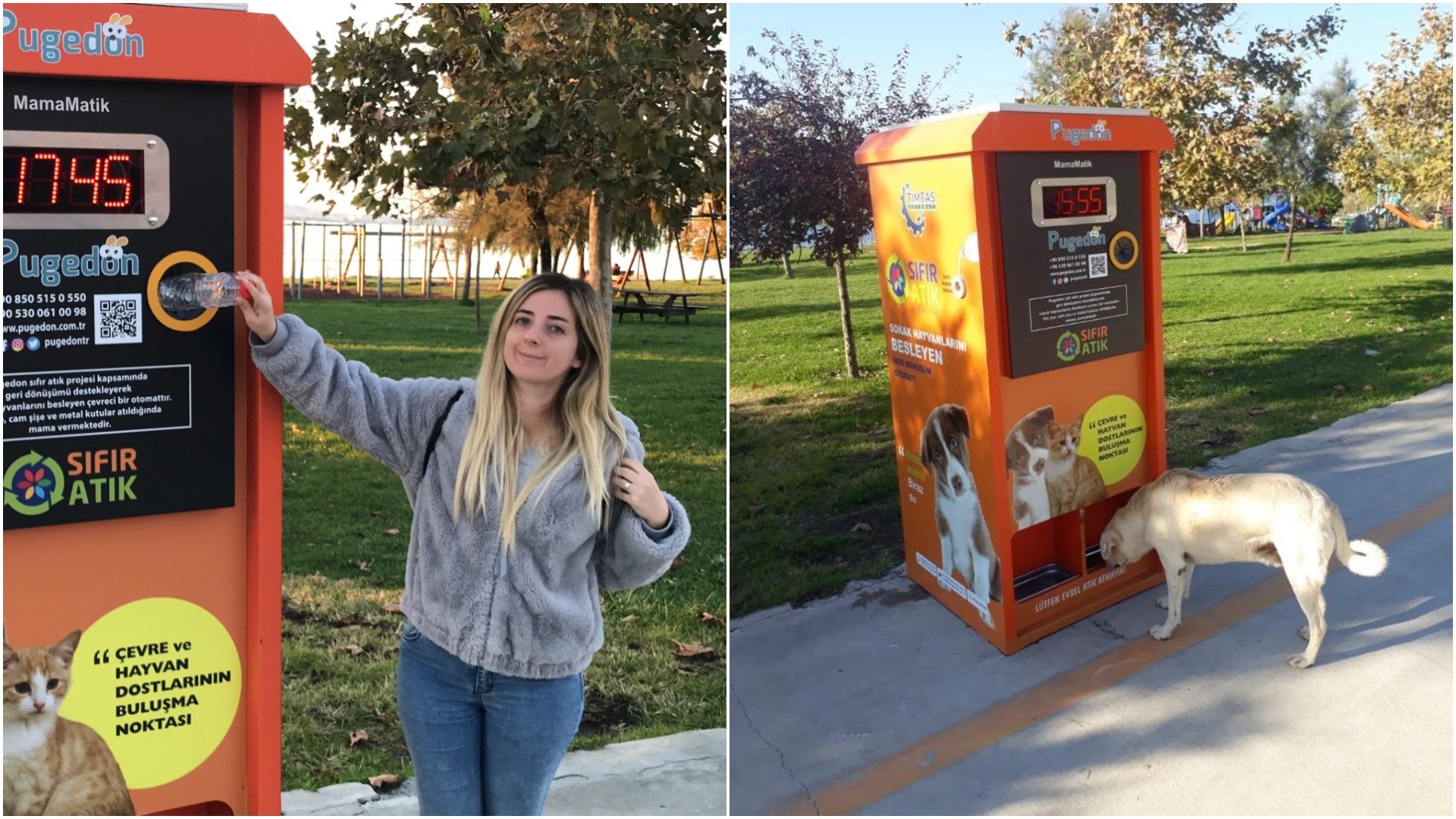 Recycle a bottle, feed a stray: Eco-friendly automats pop up across Turkey  | Daily Sabah