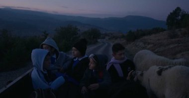 Still shot from "Servis".