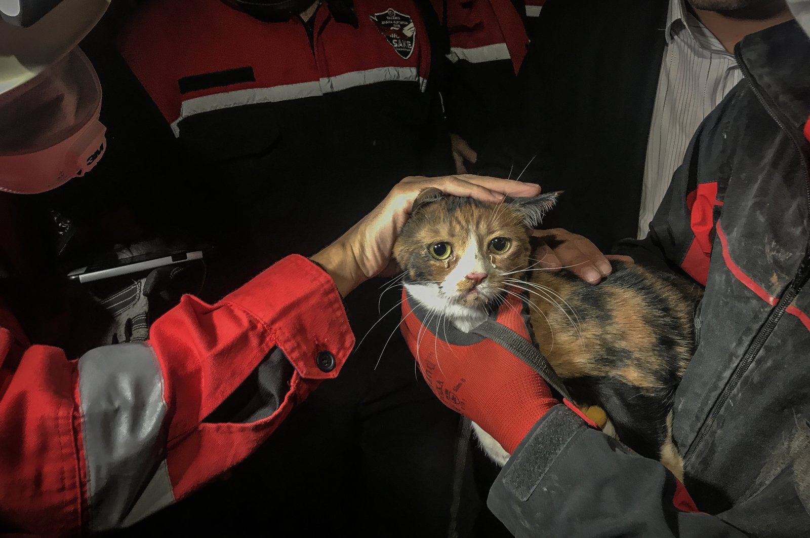 A cat was rescued from the rubble of Yılmaz Erbek Apartment after 30 hours of search and rescue efforts following an earthquake in Izmir, Turkey, Oct. 31, 2020. (AA Photo)