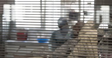 A nurse tends to a patient in an intensive care unit for patients infected with the COVID-19 at the AP-HP Louis Mourier hospital in Colombes, northwest of Paris, Nov. 9, 2020. (AFP Photo)