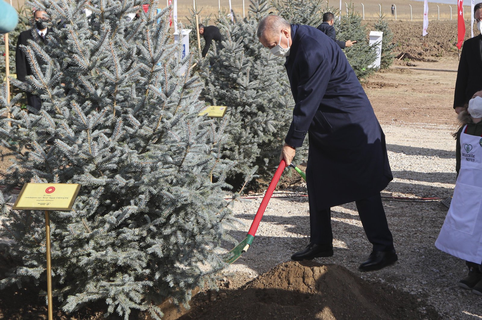 President Recep Tayyip Erdoğan plants a sapling in the capital Ankara, Turkey, Nov. 11, 2020. (DHA Photo) 