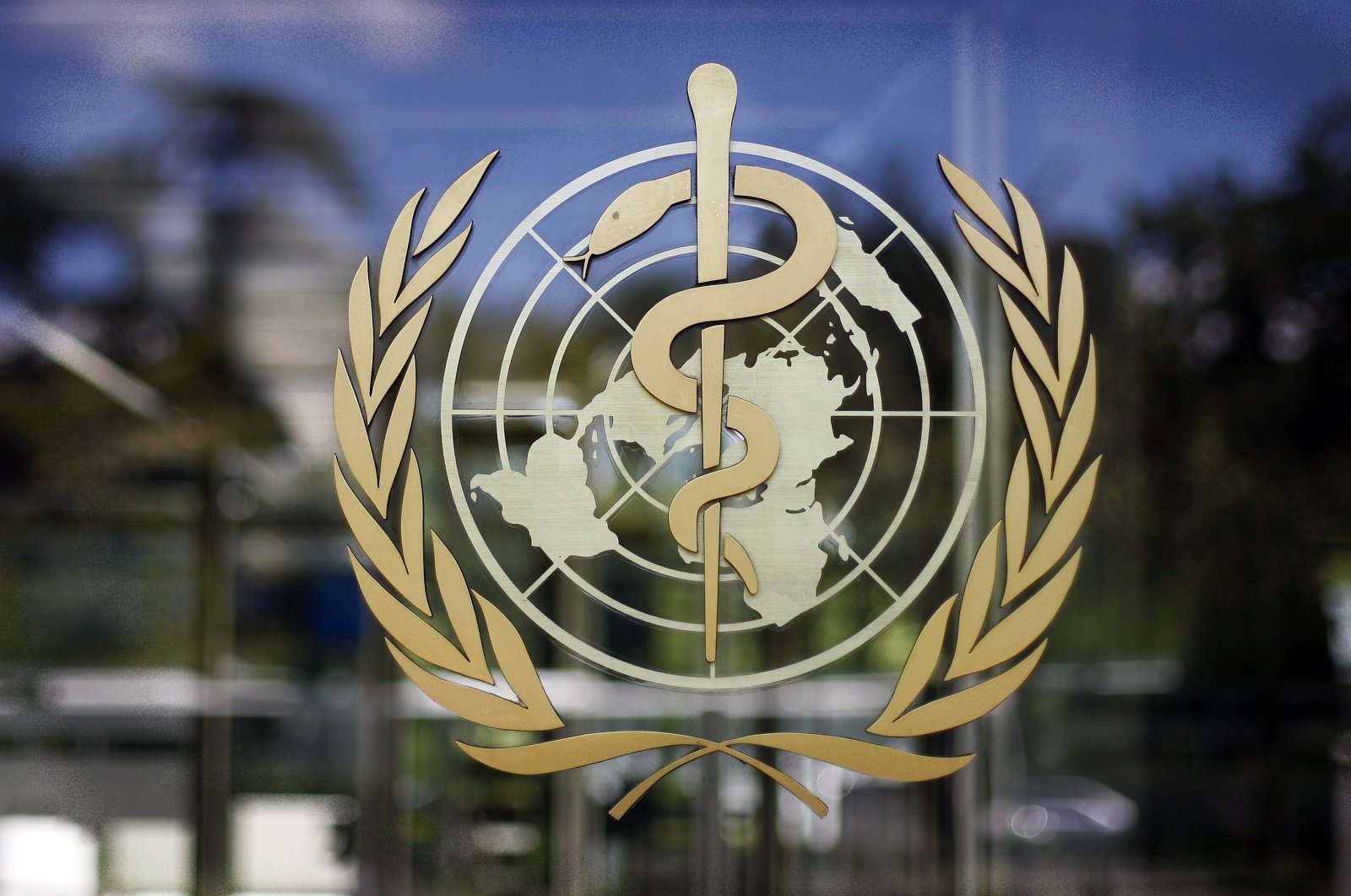 The logo of the World Health Organization is seen at the WHO headquarters in Geneva, Switzerland, June 11, 2009. (AP Photo)

