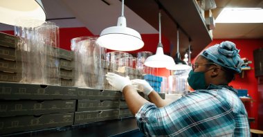 An employee makes acrylic face shields for front line responders at Dimo's Pizza in Chicago, Illinois, April 16, 2020. (AFP Photo)
