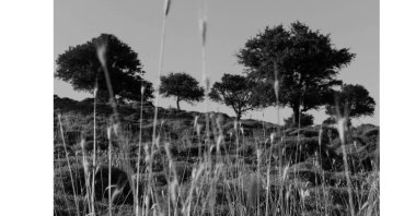 Larissa Araz, untitled, 2020, archival pigment print, 30 by 40 centimeters. (Courtesy of Öktem Aykut)