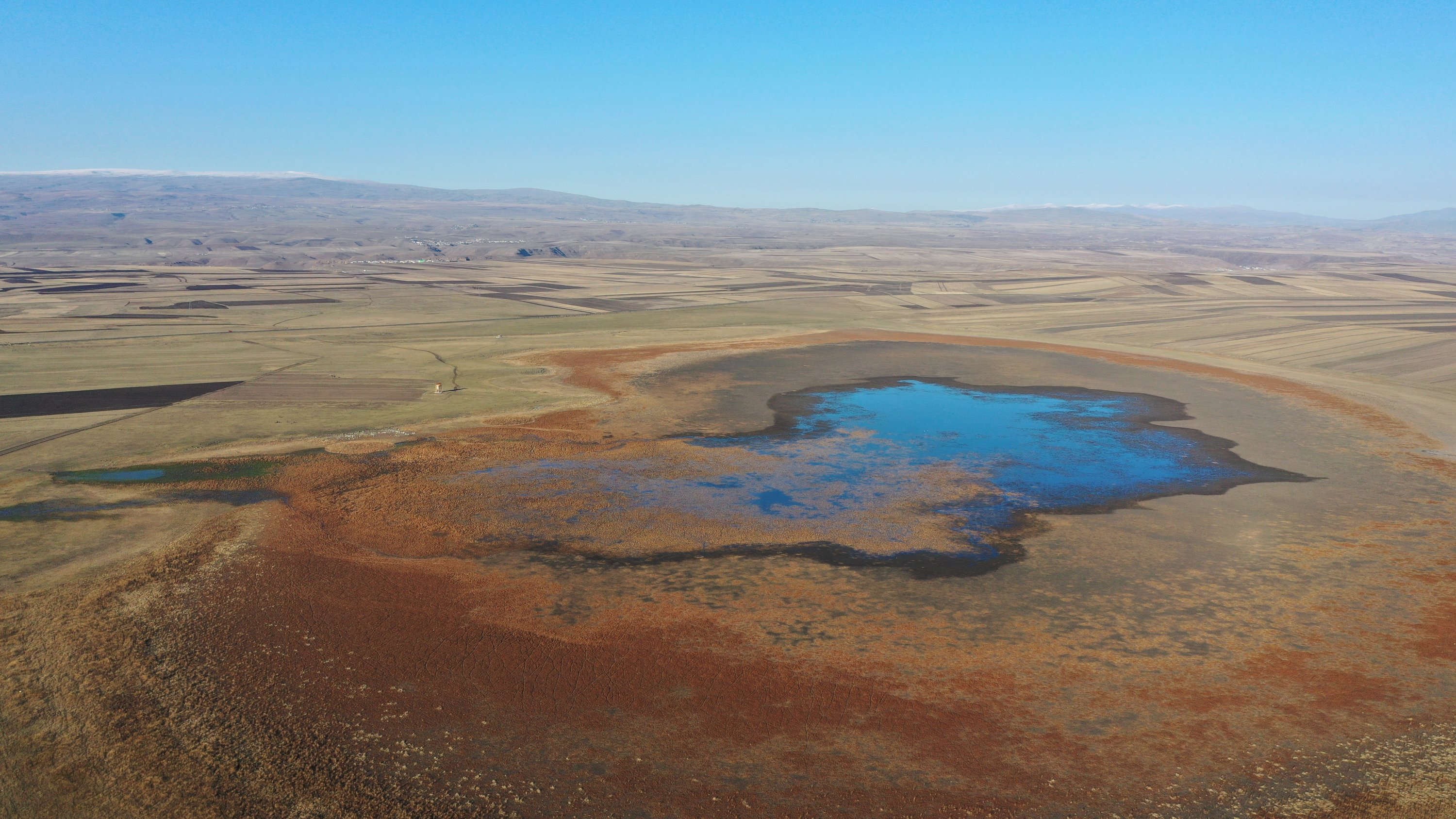 Despite drying up last year, Kuyucuk Lake in Kars' Arpaçay district has been revived and now hosts 110 bird species as of November 2020, in eastern Turkey. (AA Photo)