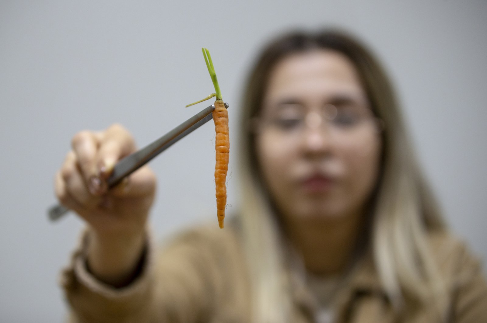 A woman holds up a miniature carrot, in Antalya, Nov. 17, 2020. (AA Photo)