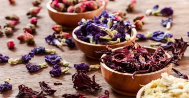 There are many dried herbs and flowers Turks use to consume as health-boosting teas. (Shutterstock Photo)