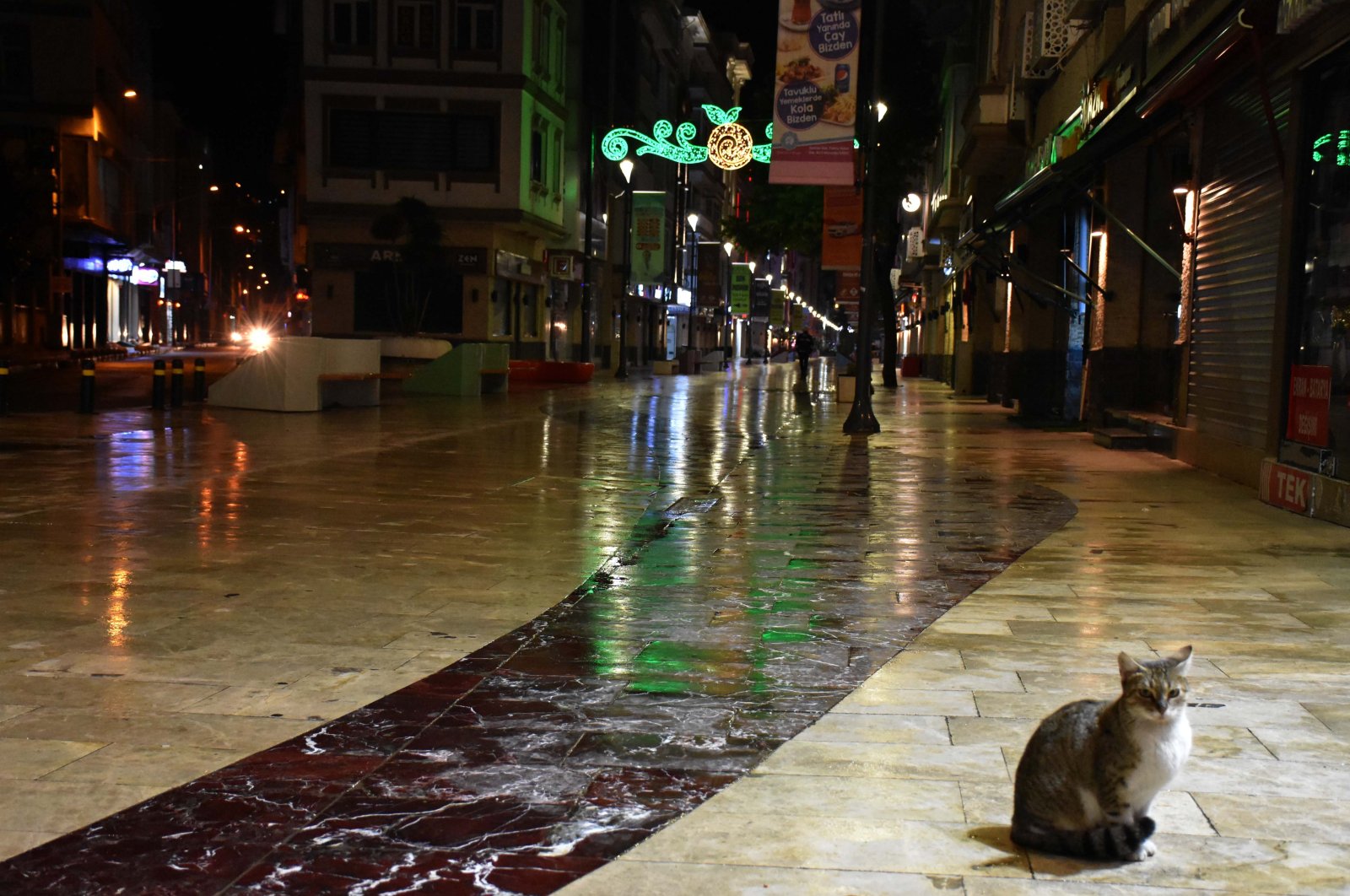 A cat sits on an otherwise busy street during the curfew in Ordu, northern Turkey, Nov. 21, 2020. (AA Photo)