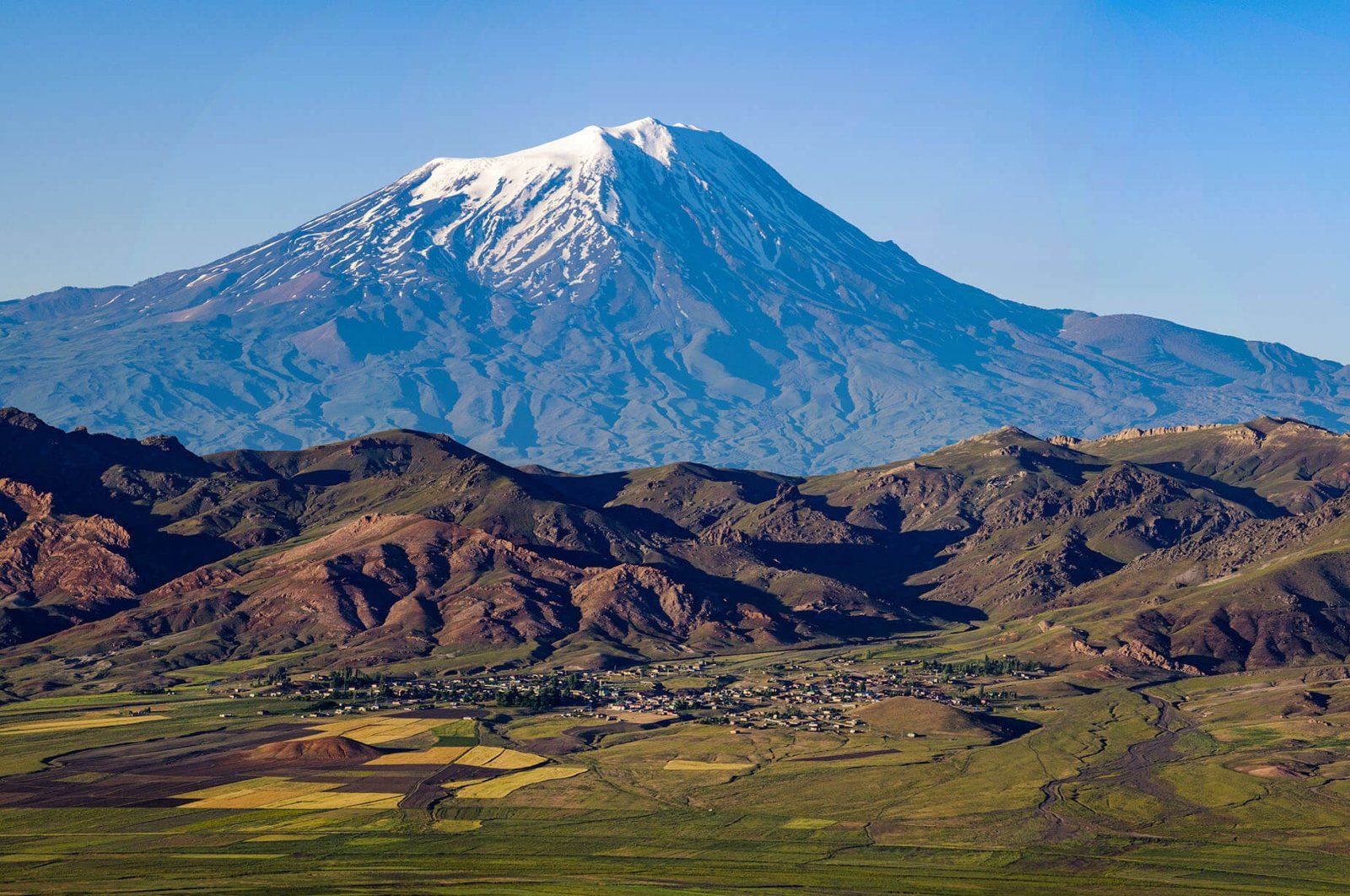 Visit Denali National Park 