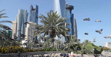 A general view taken on June 5, 2017, shows pigeons flying above the corniche in Doha, Qatar. (AFP Photo)