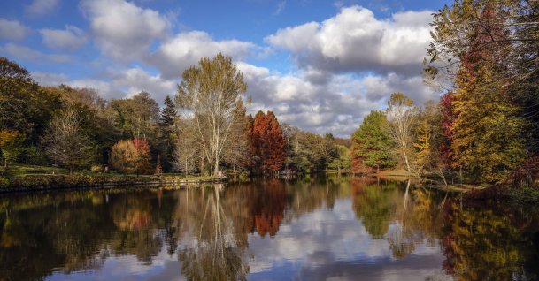 Fall color explosion at Istanbul’s Atatürk Arboretum