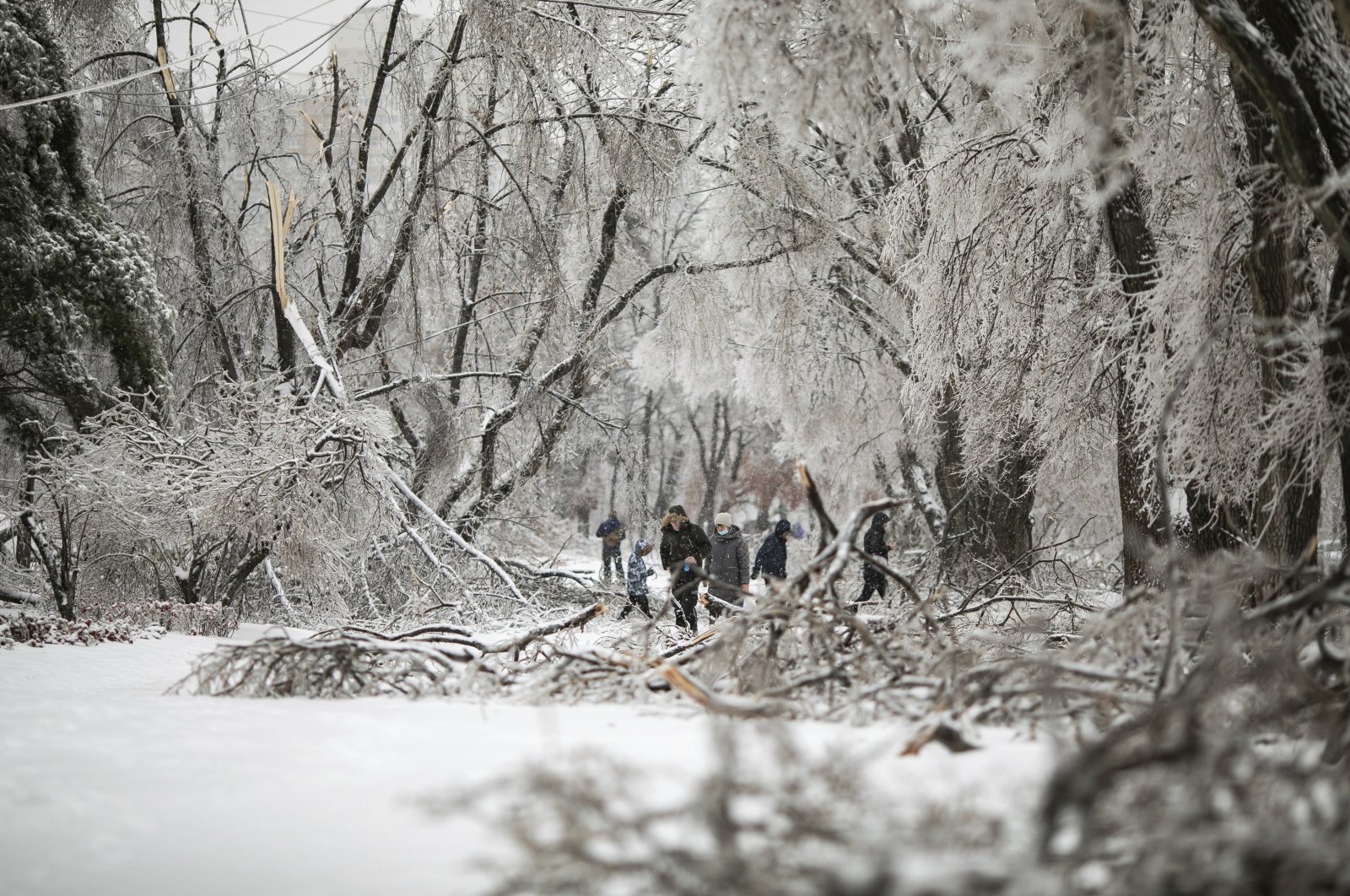 People walk between fallen tree branches after an ice storm in Vladivostok, Russia, Nov. 20, 2020. (AP Photo)