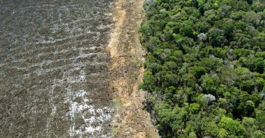An aerial view of a deforested area close to Sinop, Mato Grosso State, Brazil, Aug. 7, 2020. (AFP Photo)