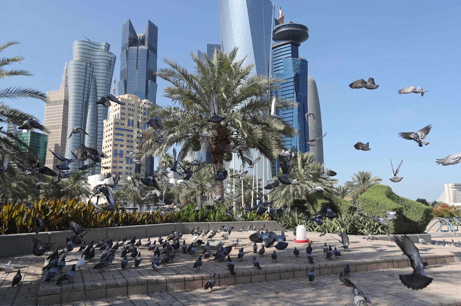 A general view shows pigeons flying above the Corniche in Doha, Qatar, June 5, 2017. (AFP Photo)