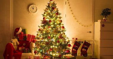 Although it is a mostly Muslim country, setting up trees to ring in the new year has become more common in Turkey in recent years. (Shutterstock Photo)