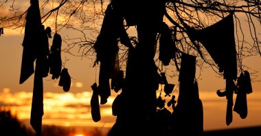 A view of "l'arbre a loques", a "healing" tree to which people attach cloths as a ritual for good health according to Celtic tradition in Hasnon, France, Dec. 6, 2020. (REUTERS Photo)