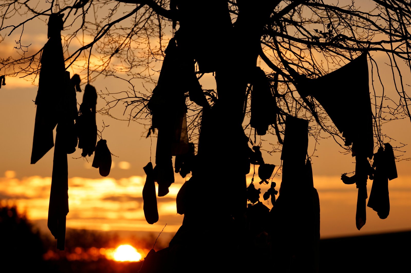 A view of "l'arbre a loques", a "healing" tree to which people attach cloths as a ritual for good health according to Celtic tradition in Hasnon, France, Dec. 6, 2020. (REUTERS Photo)