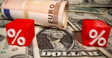 Rolled euro banknotes and 3D printed percent models are placed on U.S. dollar bills in this illustration created on May 26, 2020. (Reuters Photo)