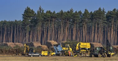 Felled trees lie on the construction site of the Tesla Gigafactory in Gruenheide near Berlin, Germany, Dec. 8, 2020. (AP Photo)