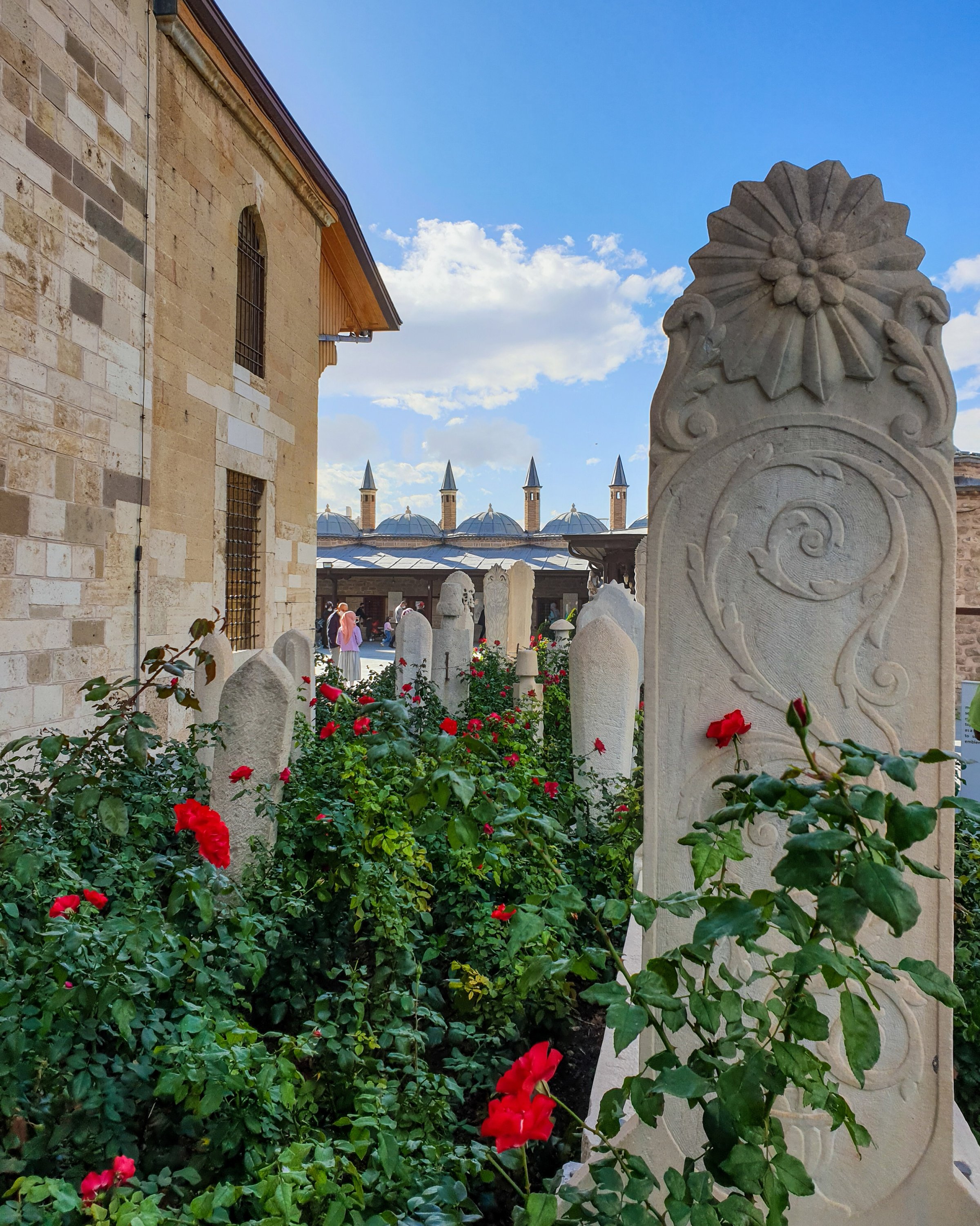Roses and tombstones near the Mevlana Museum. (Photo by Argun Konuk)