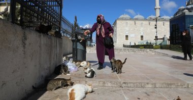 An old lady takes care of cats and puts food for them in the courtyard of the Fatih Mosque in Istanbul, Turkey, April 8, 2020. (Photo by Getty Images)