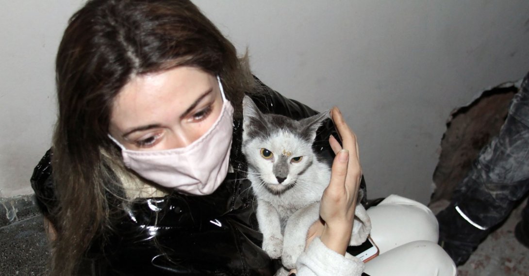 Daily Sabah Latest Breaking News From Turkey Istanbul