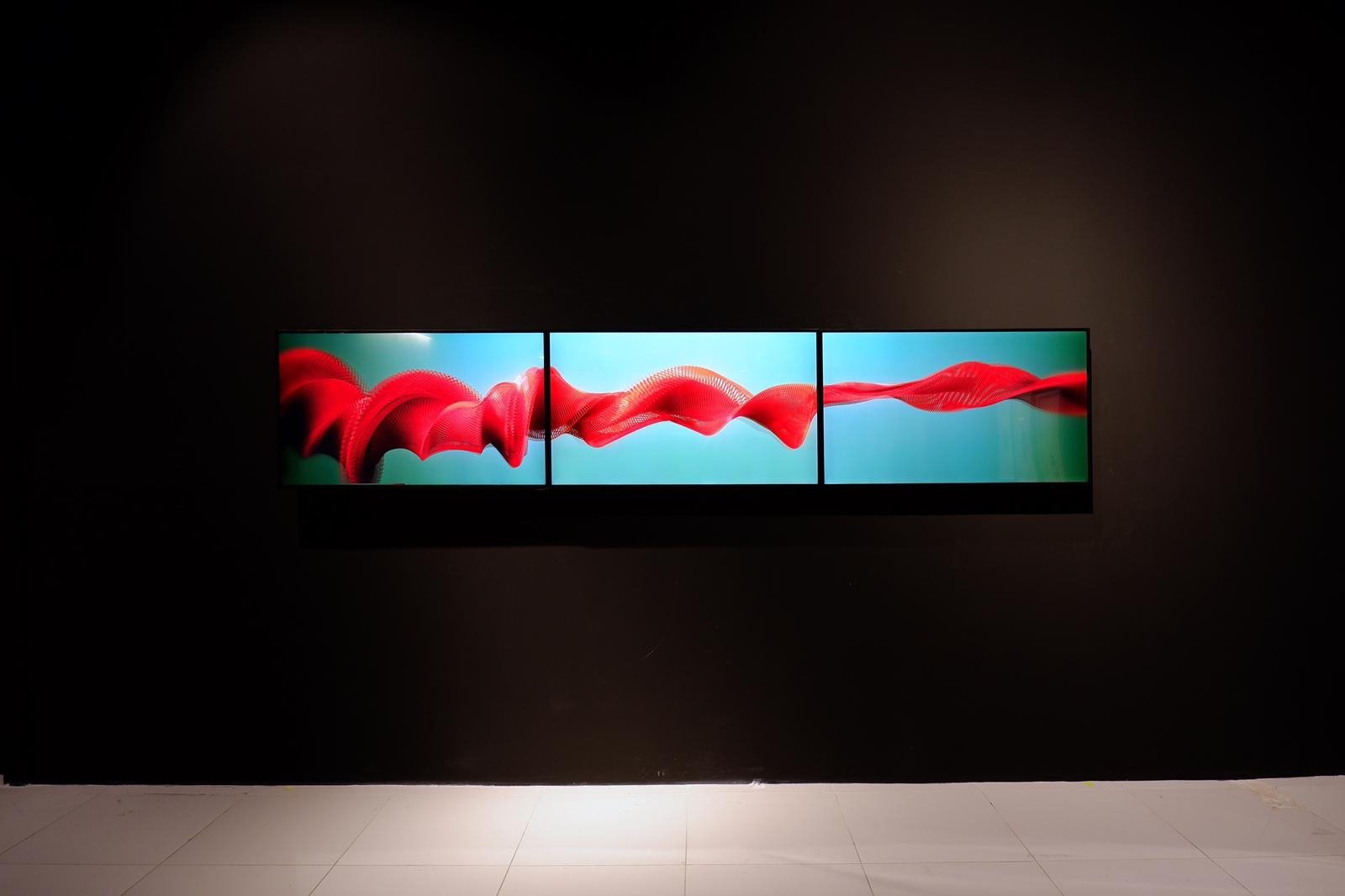 Candan Şişman, "FLUX", 2011, audiovisual installation, 04’43’’. (Courtesy of Vision Art Platform Gallery)