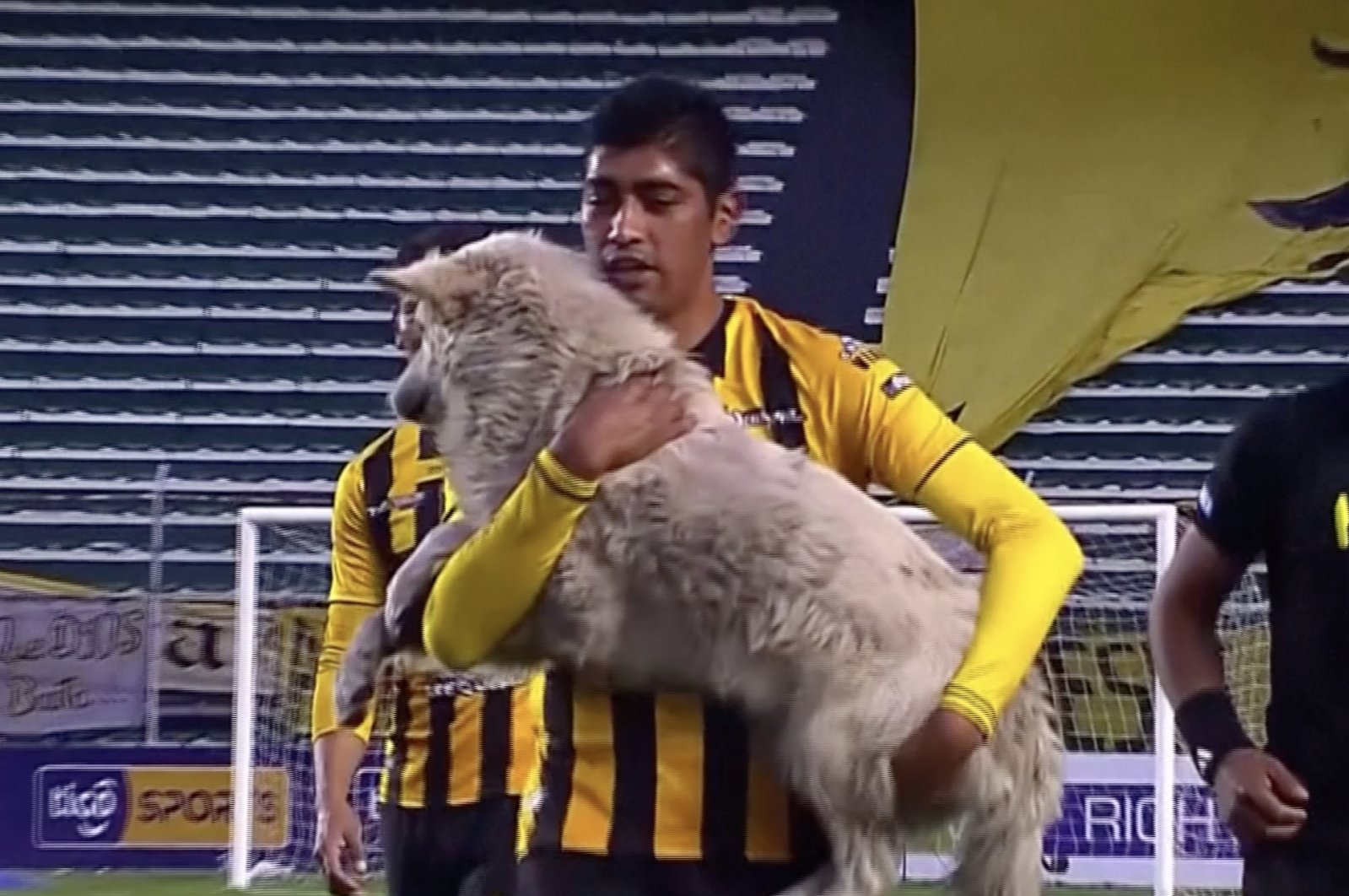 The video grab shows a player carrying a dog who invaded the football pitch, during a football match in Potosi, Bolivia, Dec. 24, 2020.