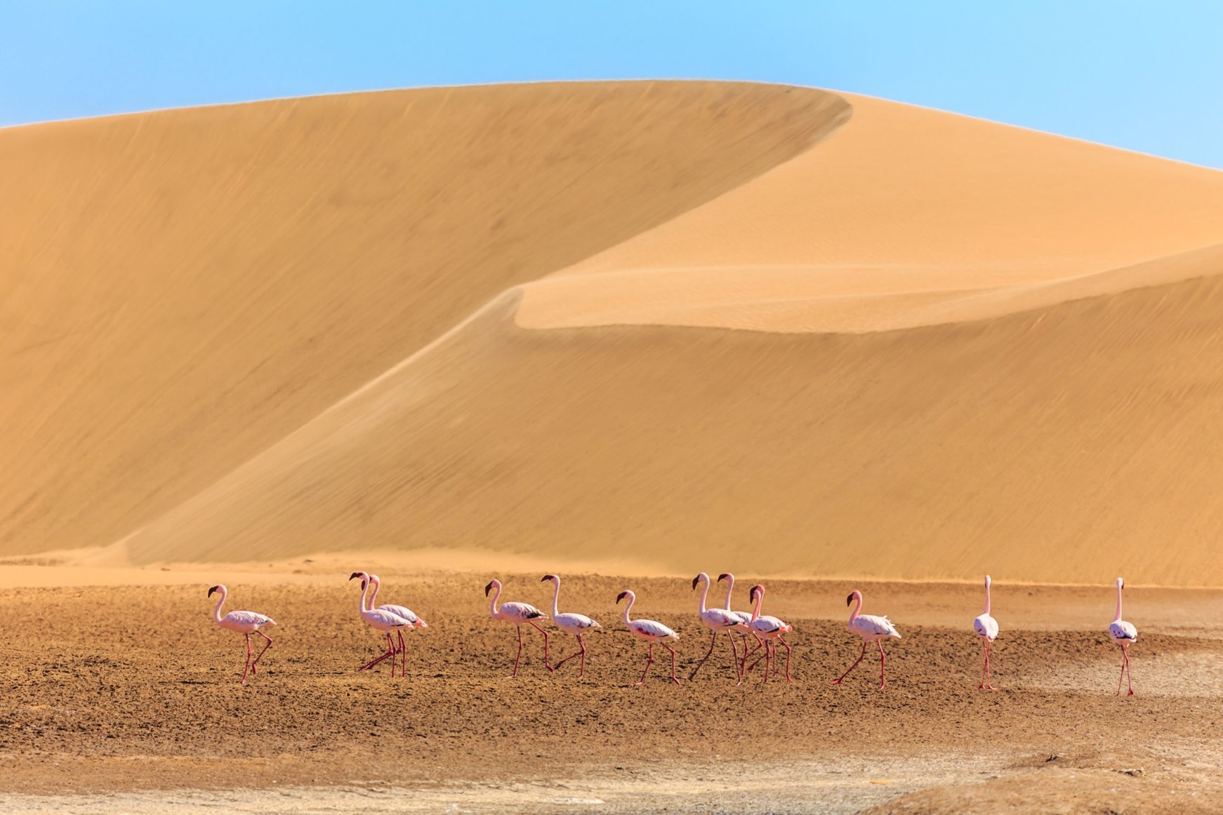 10 largest deserts in the world Daily Sabah