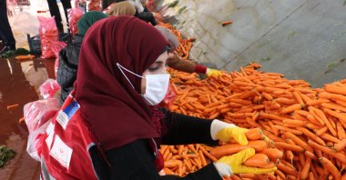 A woman practices carrot packaging at the school in Hatay, southern Turkey, Jan. 4, 2021. (AA Photo)
