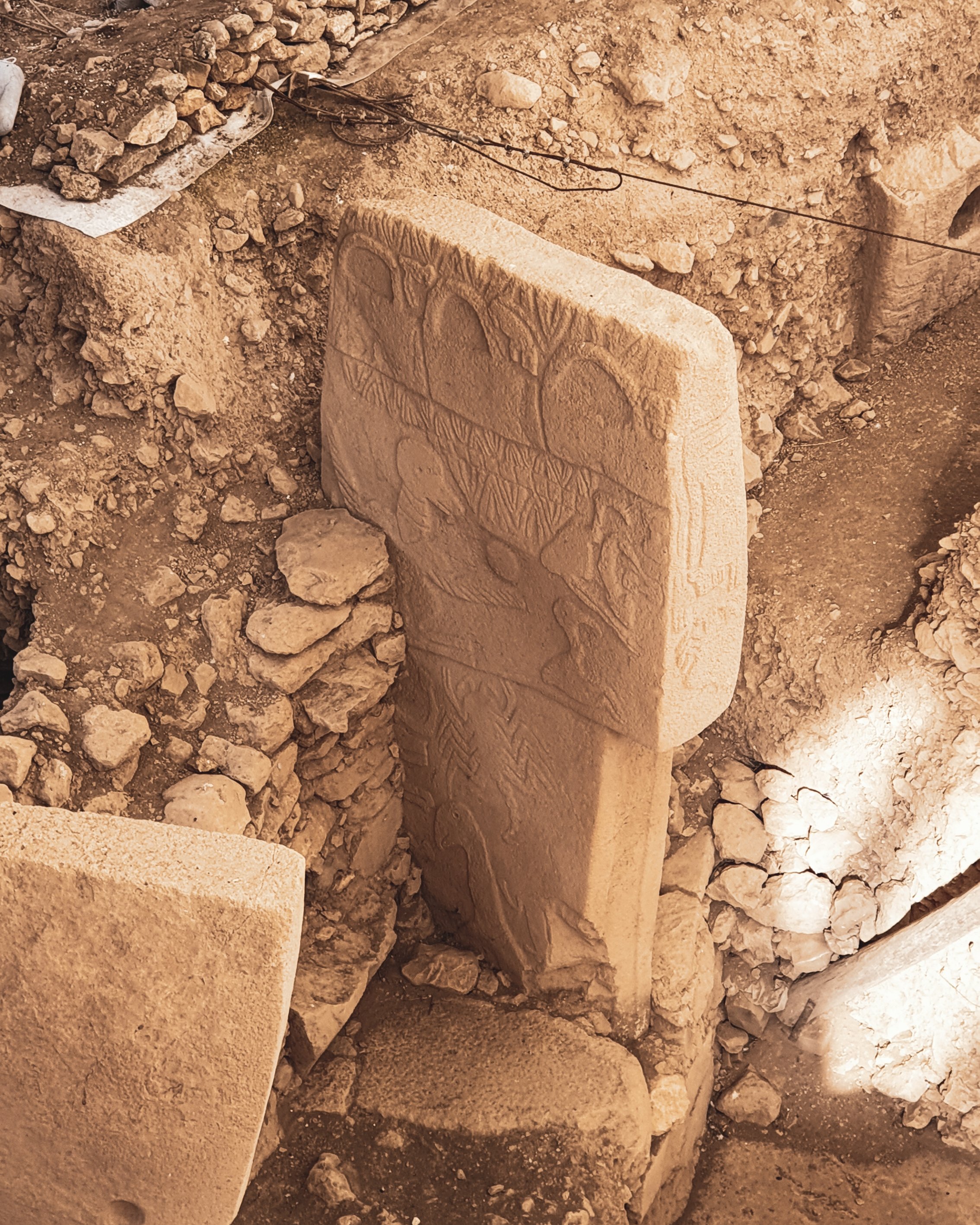 A photo showing the patterns and reliefs on a T-pillar at Göbeklitepe. (Photo by Argun Konuk)