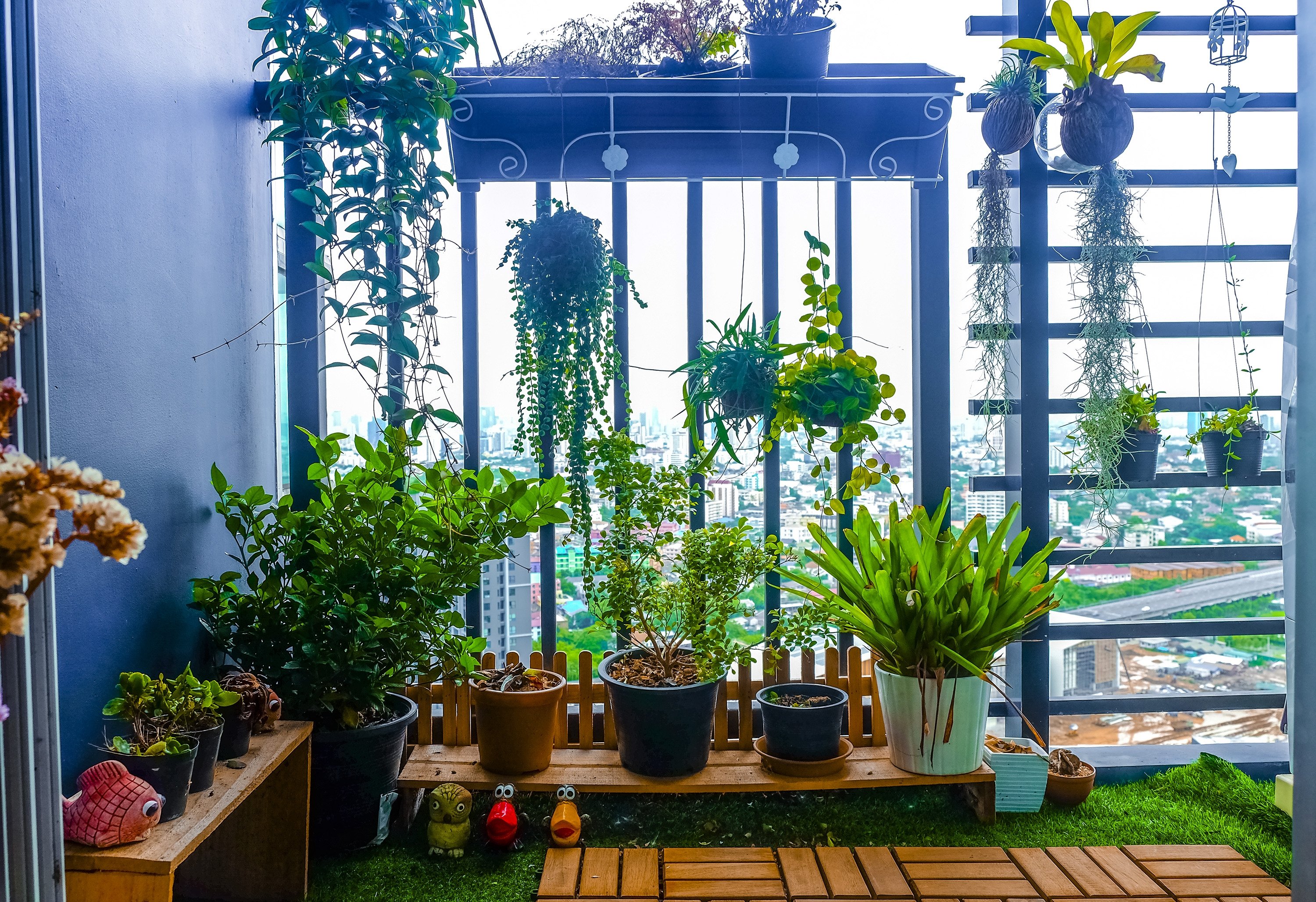 partial shade balcony plants