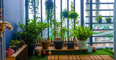 If you have a balcony that has little to no sun, it doesn't mean you can't have a green paradise. (Shutterstock Photo)