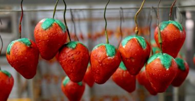 Some fruit-scented soaps shaped like strawberries produced by EDMIS in Edirne, northwestern Turkey, Jan. 6, 2021. (DHA Photo)