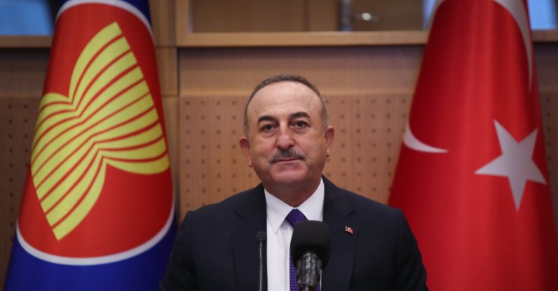 Foreign Minister Mevlüt Çavuşoğlu during a meeting with the ambassadors of the ASEAN member countries in Ankara, Jan. 6, 2021. (AA)