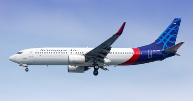 A Sriwijaya Air passenger plane seen flying in the sky in this undated photo.