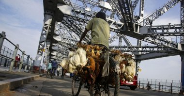 A vendor carries chickens for sale and rides past the landmark Howrah Bridge in Kolkata, in the state of West Bengal, eastern India, June 3, 2020. (AP Photo)
