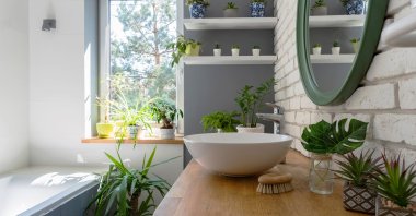 By choosing the correct plants, you can turn your bathroom into your own luscious jungle. (Shutterstock Photo)