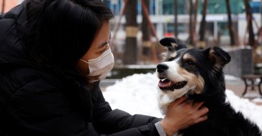 Moon Sae-mi pets her dog Godot as they demonstrate Petpuls, an AI-powered smart dog collar, in Seoul, South Korea, Jan. 11, 2021. (Reuters Photo)