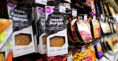 In this file photo taken on Aug. 21, 2017, packs of precooked insect burgers based on protein-rich mealworm are seen on a supermarket shelf in Geneva, Switzerland. (AFP Photo)