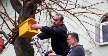Necmettin Korkmaz (L) hangs a birdhouse he built to a tree, in Kastamonu, northern Turkey, Jan. 15, 2021. (AA Photo)