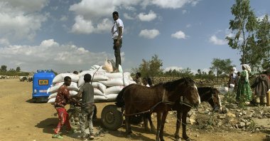 People affected by the conflict in Tigray load food aid provided by humanitarian agencies onto a donkey cart to be transported to their home, outside Mekele, Ethiopia, Jan. 12, 2021. (AP Photo)