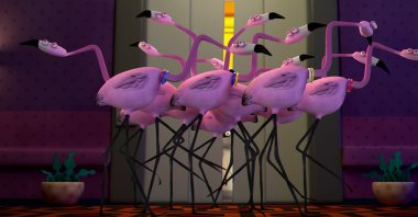 Still shot from "Racoon with Bitcoin" by Serdar Çotuk.