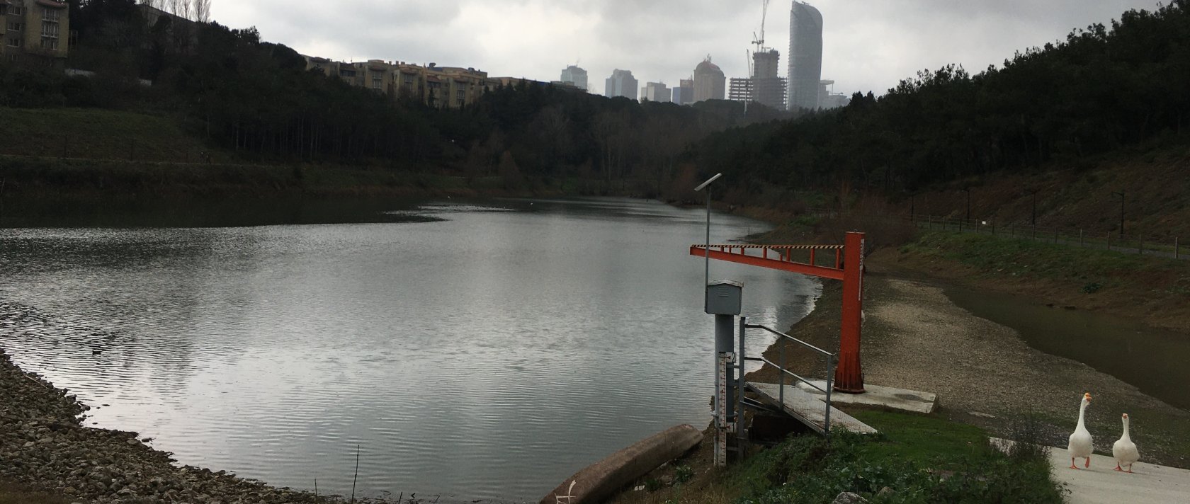 Kopek Bakycylydy Is Ilanlary Istanbul