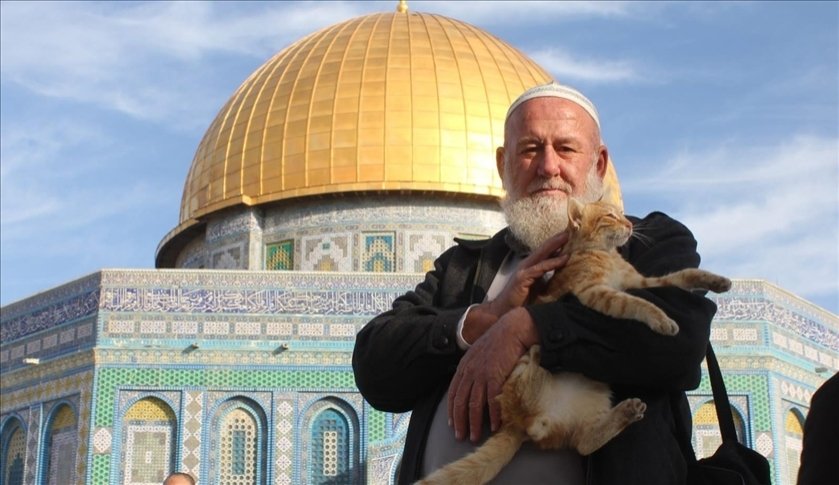 Ghassan Younes pets a cat at Al-Aqsa Mosque, Jerusalem. (AA Photo)