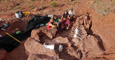In this photo released by the CTyS-UNLaM Science Outreach Agency, paleontologists sit during an excavation in which 98-million-year-old fossils were found, at the Candeleros Formation in the Neuquen River Valley in southwest Argentina, Jan. 20, 2021. (Jose Luis Carballido/CTyS-UNLaM via AFP)