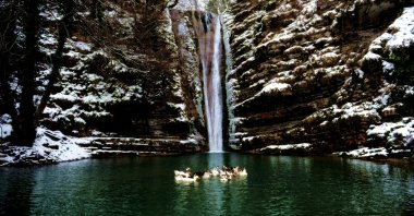 A group of ducks rests in a pond created by a waterfall, in Sinop, northern Turkey, Jan. 22, 2021. (AA Photo)