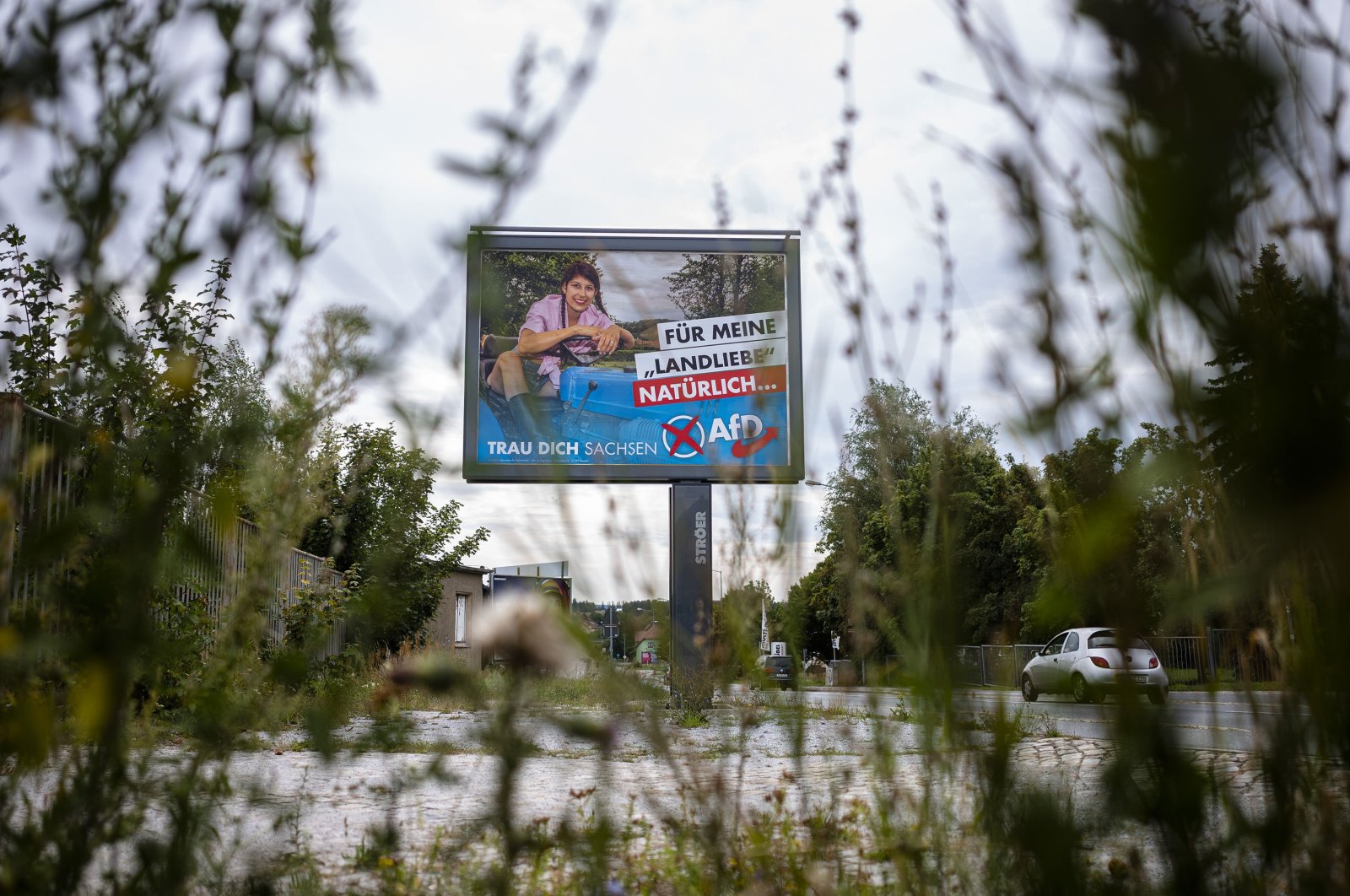 An election campaign poster of the German Alternative for Germany (AfD) party for the Saxony state elections reading, "For my country love, of course, AfD – dare you Saxony,"  is displayed on the road in Bautzen, Germany, Aug. 15, 2019. (AP Photo)