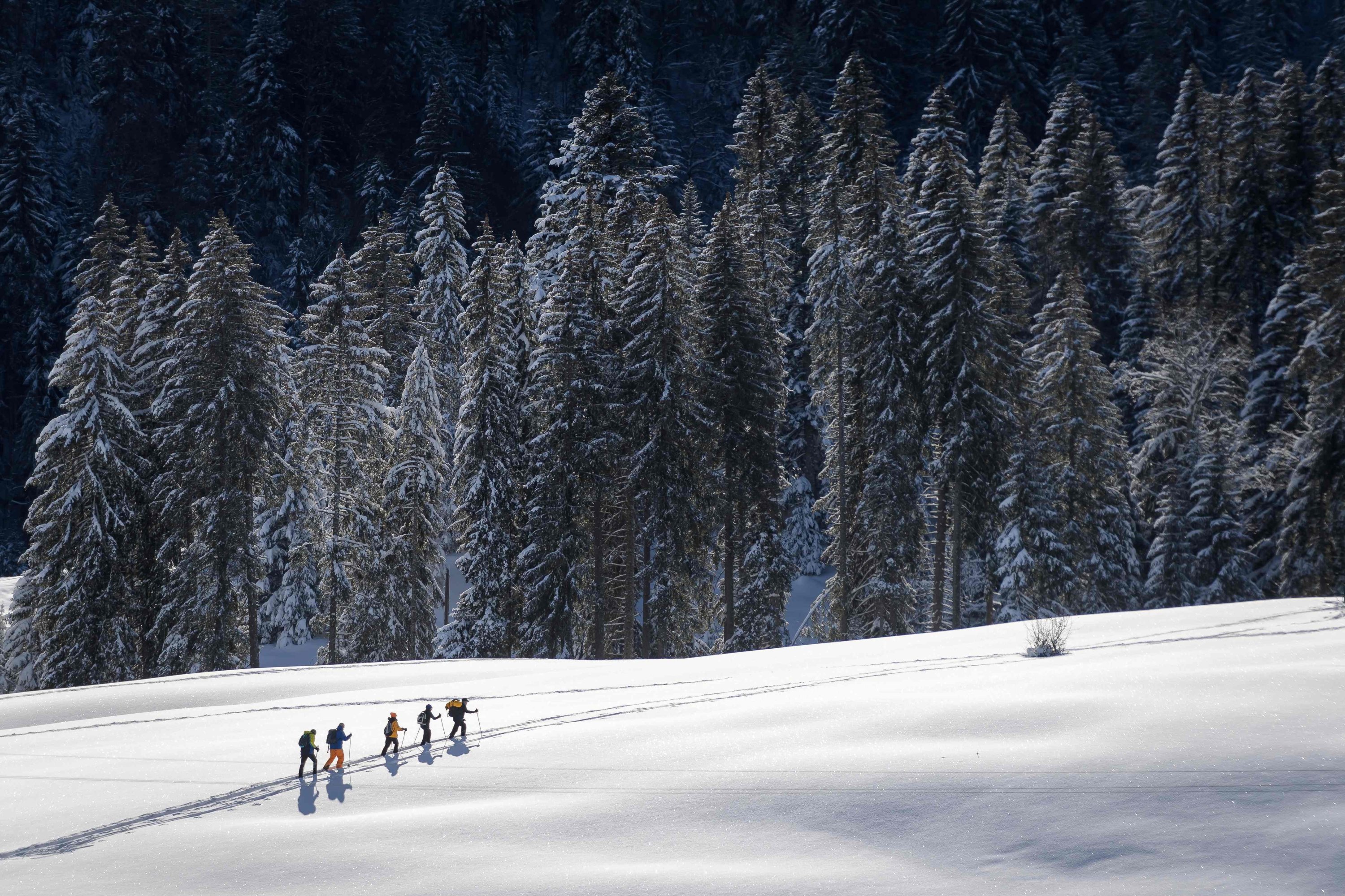 Tourists make their way with snowshoes in the fresh snow above La Cure in the sub-alpine mountain range of Jura, Switzerland, Jan. 26, 2021. (AFP Photo)