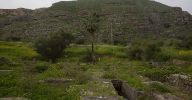 At the foot of Mount Bernice, stones from the Al-Juma (Friday) Mosque are visible through overgrown plants, in Tiberias, northern Israel, Jan. 27, 2021. Archaeologists said recent excavations in the ancient city of Tiberias have revealed the remnants of one of the earliest mosques in the Islamic world. The foundations of the Muslim house of worship date to the late seventh century. (AP Photo)